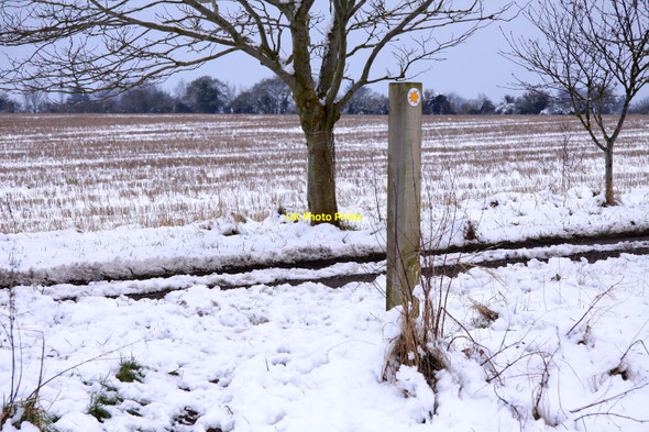 Photo 6"x4" Footpath marker on the Oxfordshire Way Beckley\/SP5610 c2013