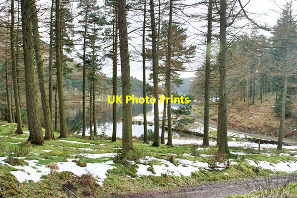 Photo 6"x4" Above Linch Clough Cow Hey\/SK1694 c2013