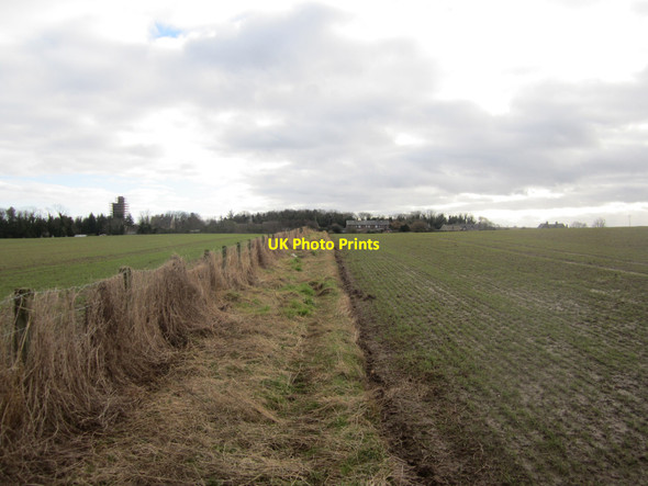Photo 6"x4" Looking south along a bridleway, north of Haggerston Cheswick Buildings c2013