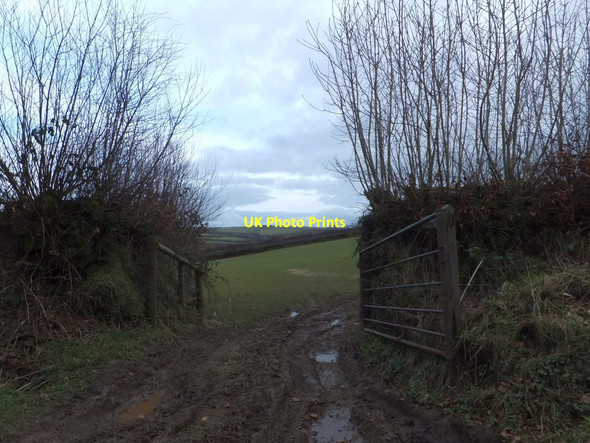 Photo 6"x4" Muddy start to the footpath to Weekfield Farm Coppleham c2013
