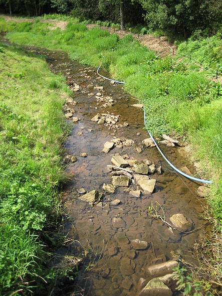 Photo 6"x4" Valley Brook running SW Whitebrook\/SO5306 c2008