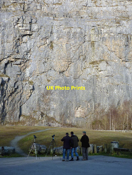 Photo 6"x4" Bird watchers at Warton Crag Quarry Carnforth c2013