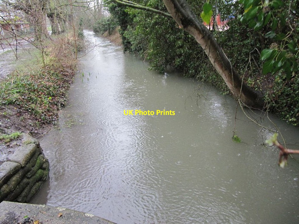 Photo 6"x4" Swollen Brook Cholsey c2013