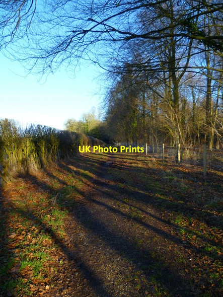 Photo 6"x4" Furzedown Lane looking east Amport c2013