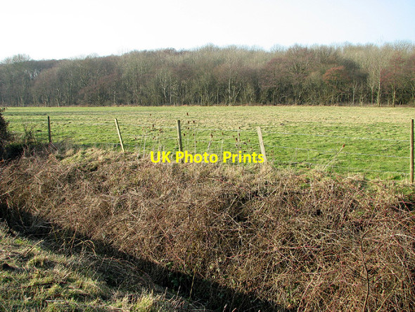 Photo 6"x4" Pasture and woodland by Barsham Hall Geldeston c2013