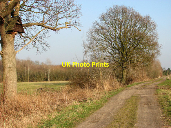 Photo 6"x4" Angles Way past owl nesting box, Barsham Marshes Geldeston c2013