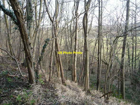 Photo 6"x4" The western edge of the Don Gorge at Sprotbrough Conisbrough c2013