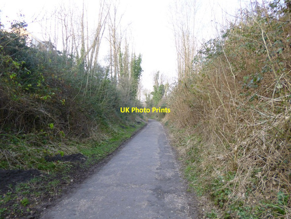 Photo 6"x4" Blandford Forum, trailway Blandford Forum c2013