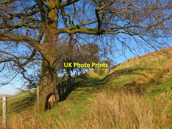 Photo 6"x4" Llwybr ceffyl Nantyrharn \/ Nantyrharn bridleway Crai c2013