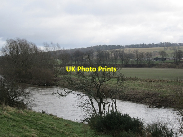 Photo 6"x4" River Teviot Ancrum c2013