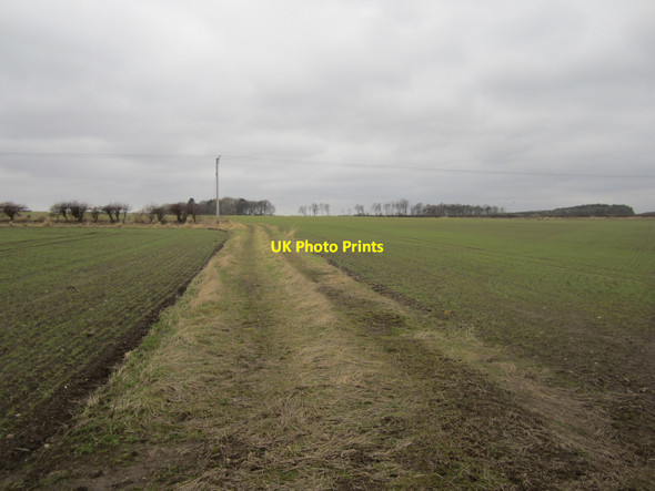Photo 6"x4" Footpath between arable fields, near Scremerston Scremerston c2013