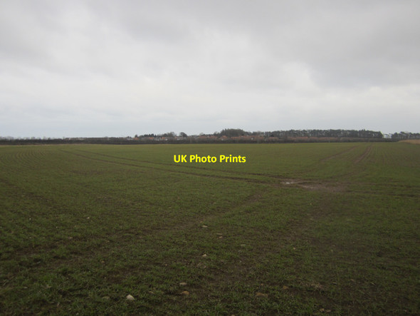 Photo 6"x4" Arable field west of Scremerston Scremerston c2013