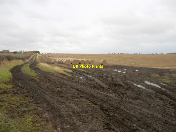 Photo 6"x4" Straw bales in field near Unthank Farm Scremerston c2013