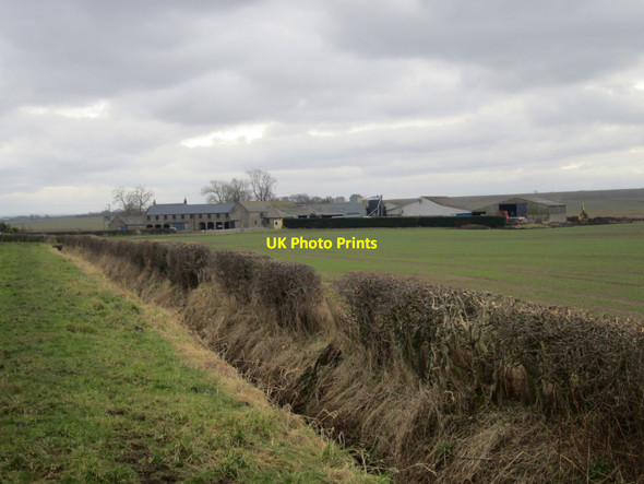 Photo 6"x4" Looking across an arable field towards farm buildings at Murton Thornton\/NT9547 c2013