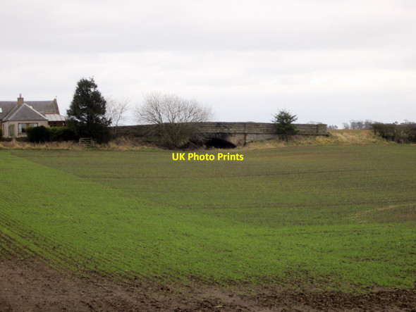 Photo 6"x4" Former railway bridge, Mount Pleasant Loanend\/NT9450 c2013