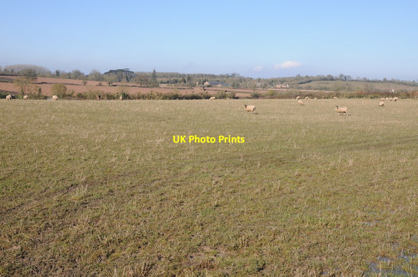 Photo 6"x4" Farmland at Pirton Pirton\/SO8847 c2013