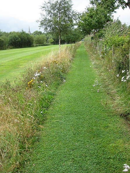 Photo 6"x4" Footpath to Ross-on-Wye Ross-on-Wye c2008