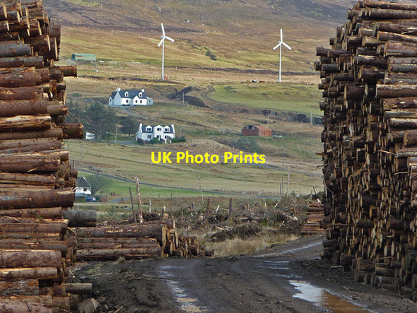 Photo 6"x4" Timber stacks and turbines Peinlich c2013