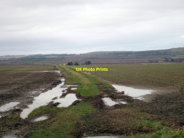 Photo 6"x4" Farm Track separating fields near Middle Ord Loanend\/NT9450 c2013
