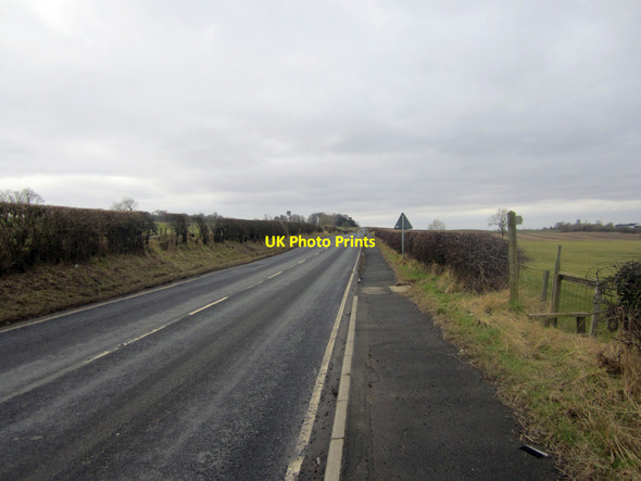 Photo 6"x4" Looking along the A698 near Longridge Loanend\/NT9450 c2013