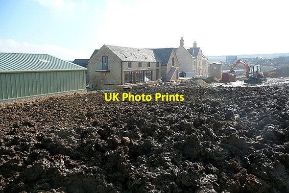 Photo 6"x4" Great Rough Brow Long Compton\/SP2832 c2013