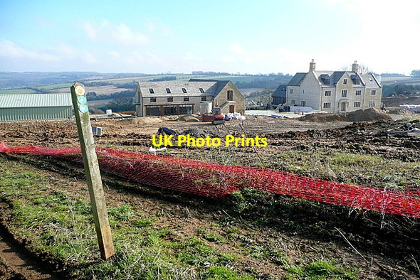 Photo 6"x4" Great Rough Brow Long Compton\/SP2832 c2013