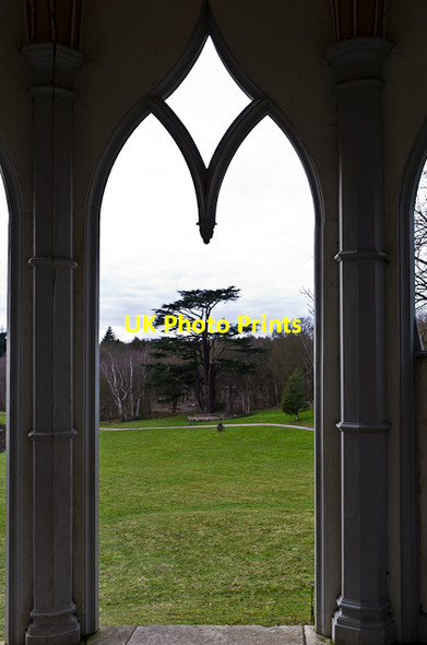 Photo 6"x4" The Great Cedar, Painshill Park Cobham\/TQ1160 c2013