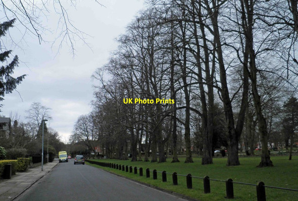 Photo 6"x4" Park Drive Grimsby Grimsby c2013