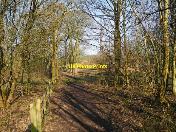 Photo 6"x4" Footpath west of Medlock Vale Farm Droylsden c2013