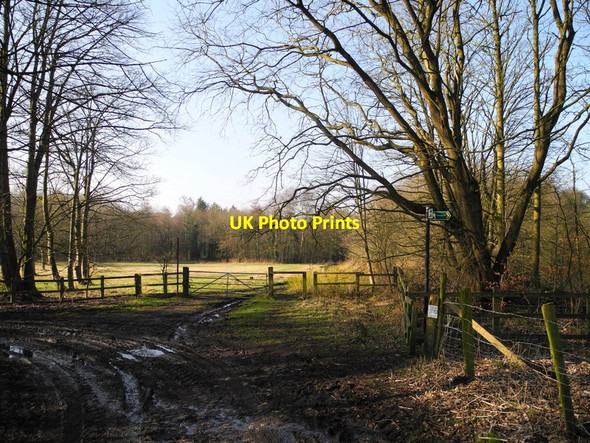 Photo 6"x4" Junction of paths, Medlock Vale Droylsden c2013