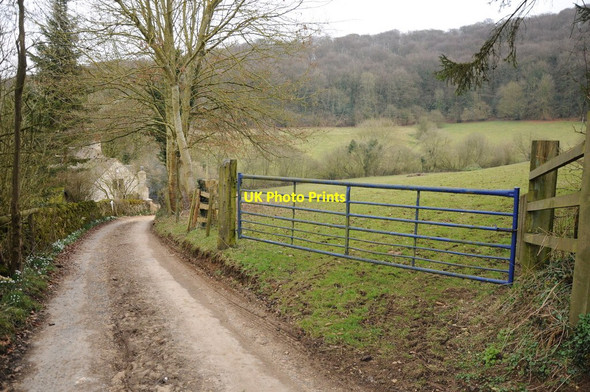 Photo 6"x4" Track near Woodlands Farm, Cranham Cranham\/SO8912 c2013