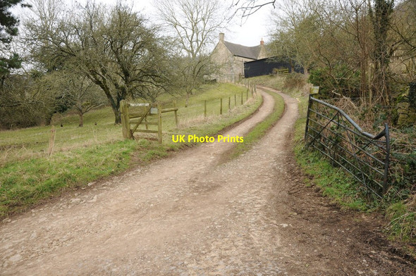 Photo 6"x4" Batch Farm, near Cranham Paradise\/SO8711 c2013