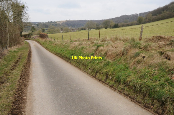 Photo 6"x4" Road to Cranham Paradise\/SO8711 c2013