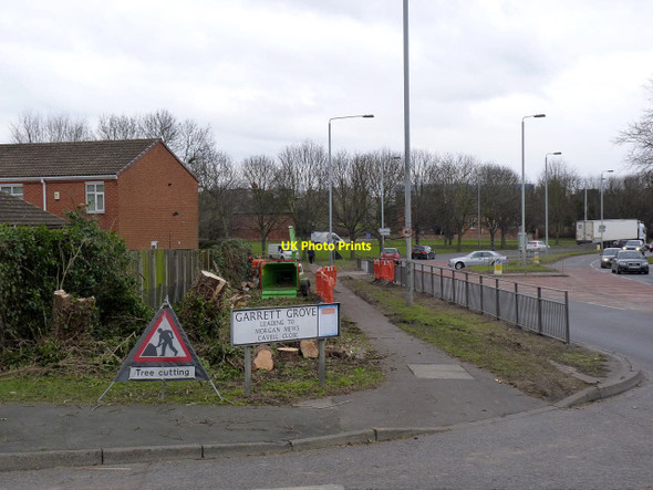 Photo 6"x4" Tree cutting alongside the A453 at Clifton Green Beeston\/SK5236 c2013