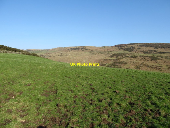 Photo 6"x4" Upland grazings above Carrick Road Burren c2013