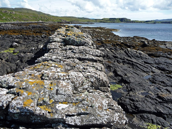 Photo 6"x4" Dyke on the east coast of Loch Dunvegan Claigan\/NG2353 c2008