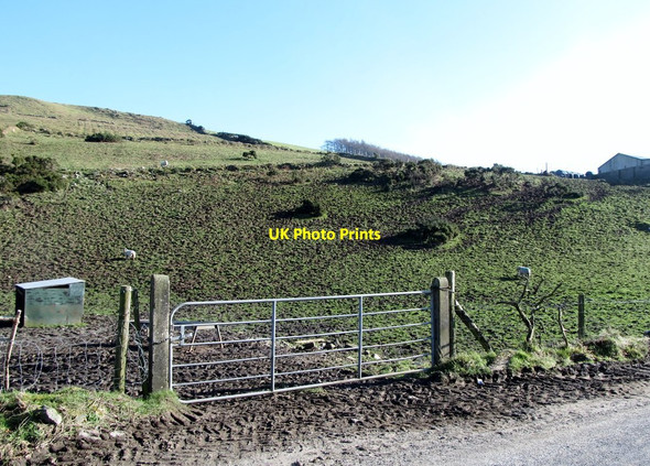 Photo 6"x4" Sheep grazings on the lower slope of Ballyvally Mountain Mayobridge c2013