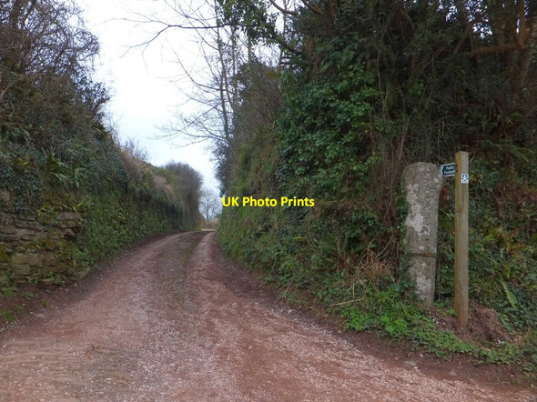 Photo 6"x4" Footpath leading north-east from Sherford Sherford\/SX7744 c2013
