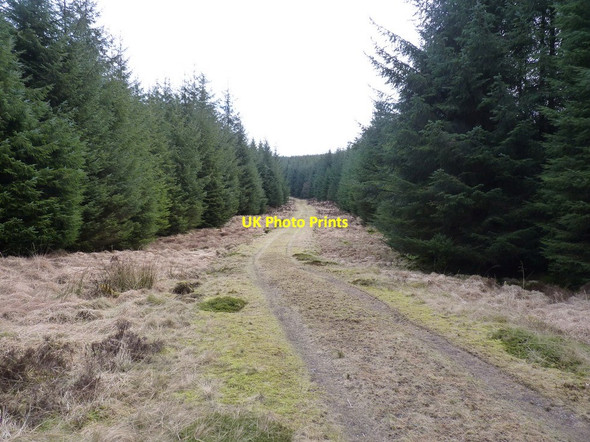 Photo 6"x4" Heading for Glenhead Hill Glenhead Hill c2013