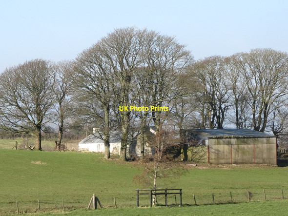 Photo 6"x4" Cottage and outbuilding west of the Ballyvally Road Mayobridge c2013