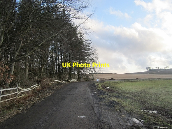 Photo 6"x4" Farm access track near Preston (Berwickshire) Preston\/NT7957 c2013