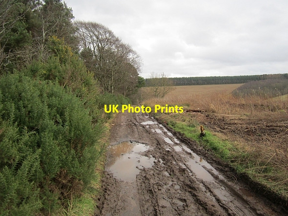 Photo 6"x4" Dere Street Jedburgh c2013