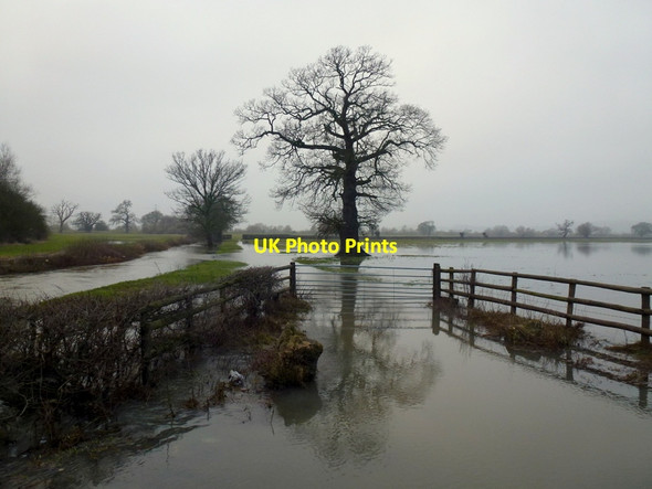 Photo 6"x4" Severn floodplain Bishop's Norton c2013