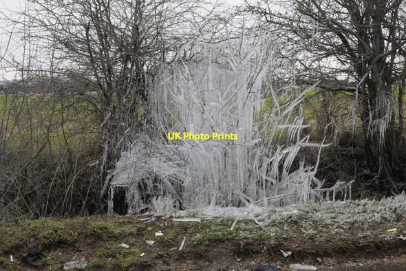 Photo 6"x4" Ice Tree North Moreton c2013