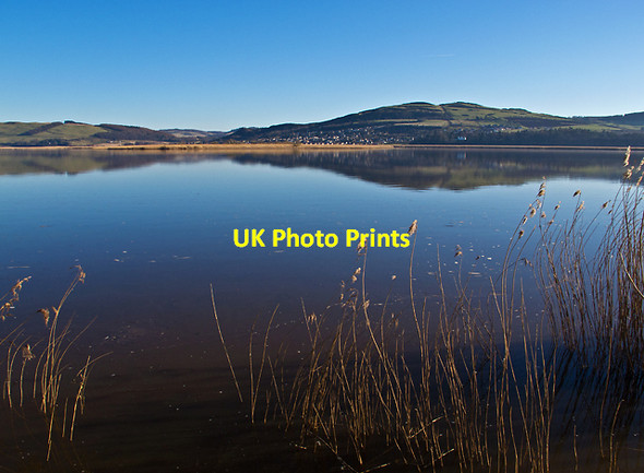 Photo 6"x4" River Tay by Kerewhip Bank Newburgh\/NO2318 c2013