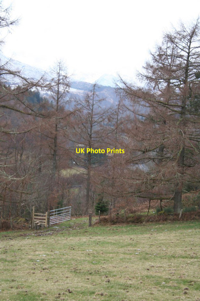 Photo 6"x4" Gateway west of Diosgydd-uchaf Betws-y-Coed c2013