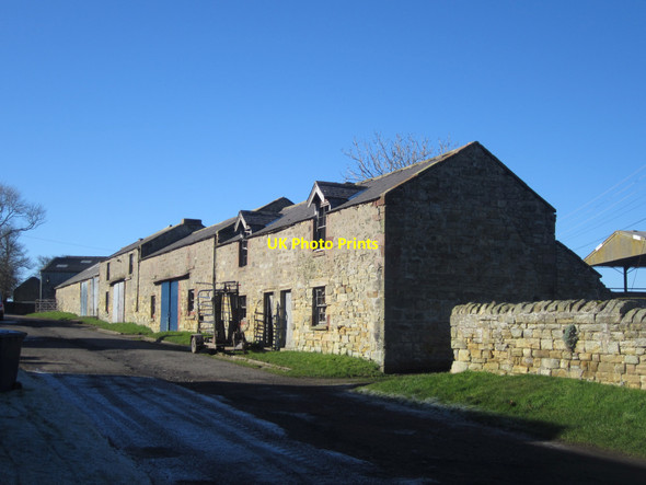 Photo 6"x4" Houses converted to farm sheds, Scremerston Town Farm Ancroft c2013