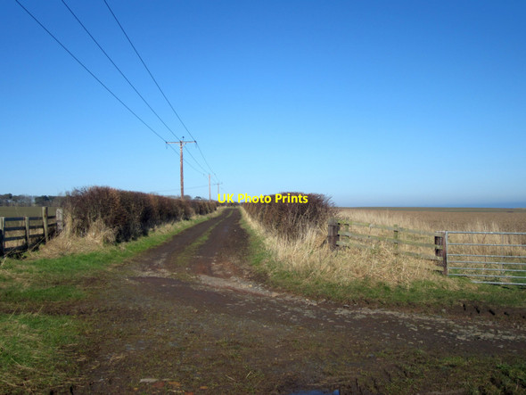 Photo 6"x4" Farm track east of Scremerston Town Farm Cheswick c2013