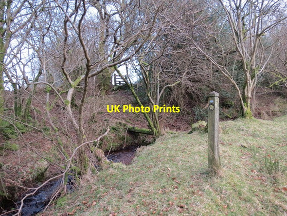 Photo 6"x4" Llwybr Nantybeudy \/ Nantybeudy path Crai c2013
