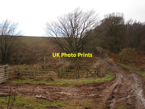 Photo 6"x4" Dere Street Jedburgh c2013